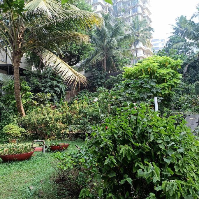 Cozy Private Ac Studio By The Sea Bandstand Bandra W Mumbai Nr Taj Lands End Lägenhet Exteriör bild